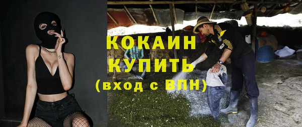 мдпв Козельск